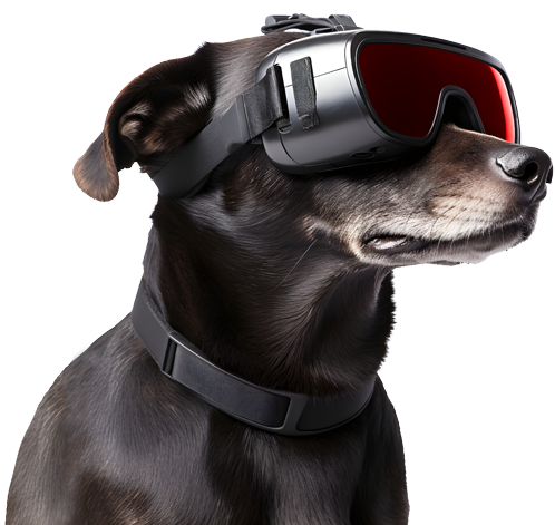 Cachorro usando óculos de realidade virtual